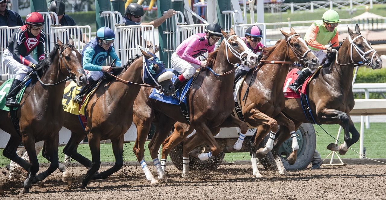 The Historic Tapestry of Italy's Palio di Siena